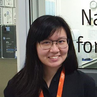 Lim Hui Yi